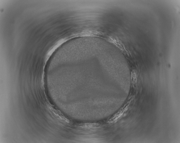 X0000078280292200611251425