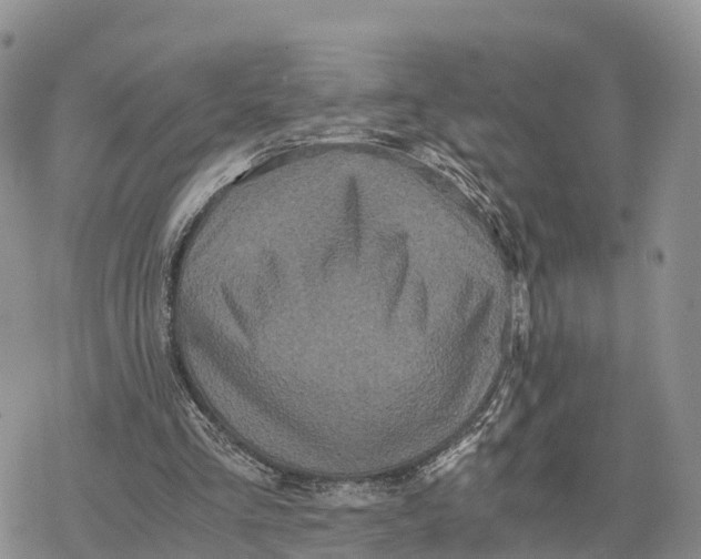 X0000078280293200611251425