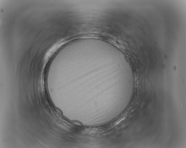 X0000078280294200611251425