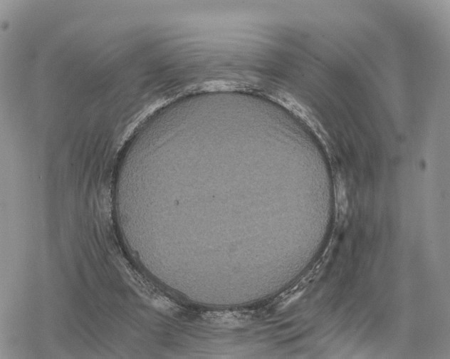 X0000078280297200611251425