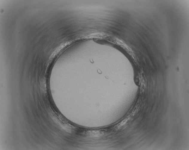 X0000078280298200611251425