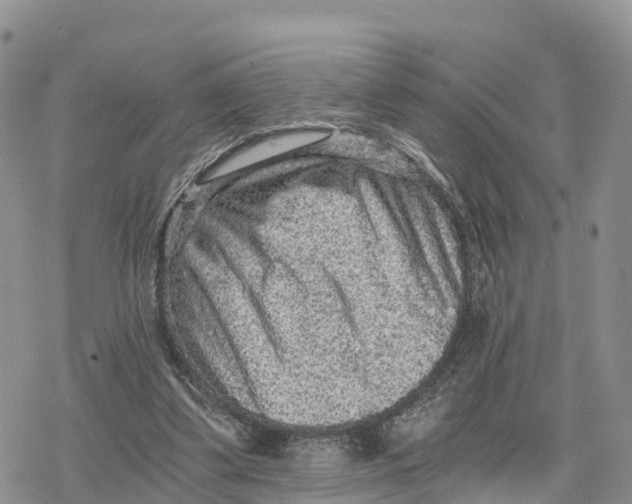 X0000078280299200611251425