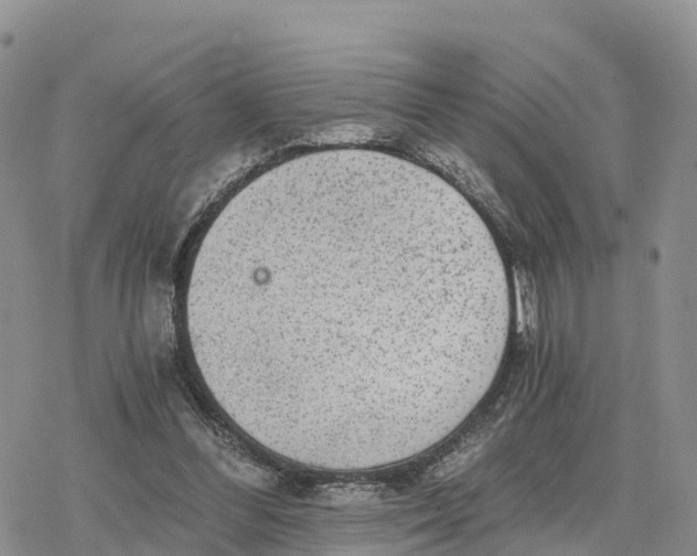 X0000078280300200611251425