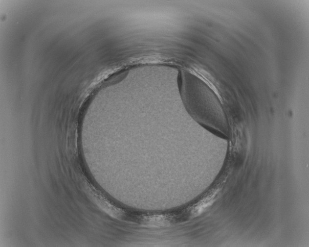 X0000078280301200611251425