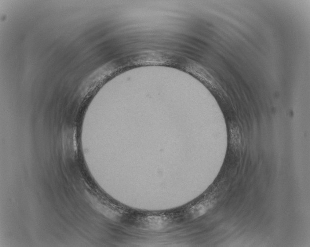 X0000078280302200611251425