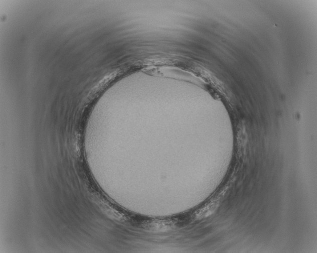 X0000078280305200611251425