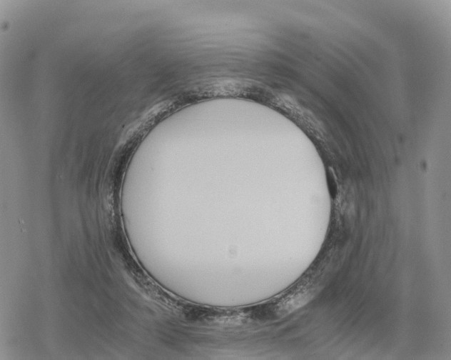 X0000078280306200611251425