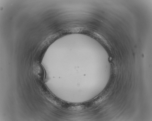 X0000078280307200611251425