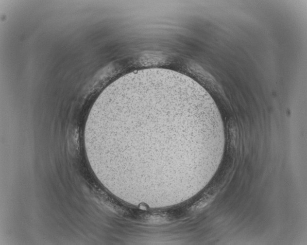 X0000078280308200611251425