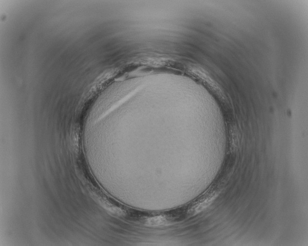 X0000078280309200611251425