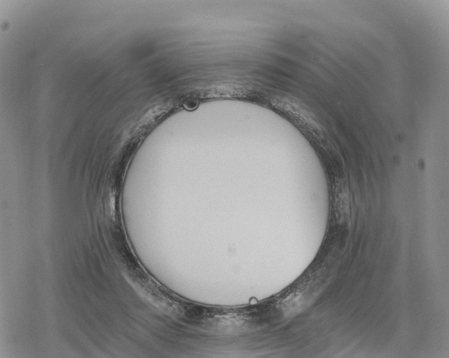 X0000078280310200611251425