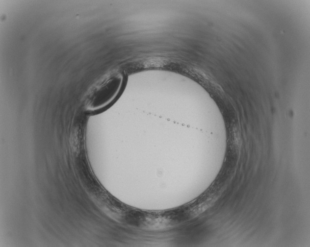 X0000078280311200611251425