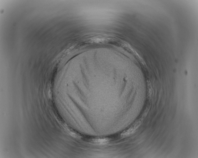 X0000078280313200611251425