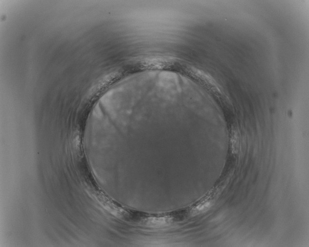 X0000078280314200611251425