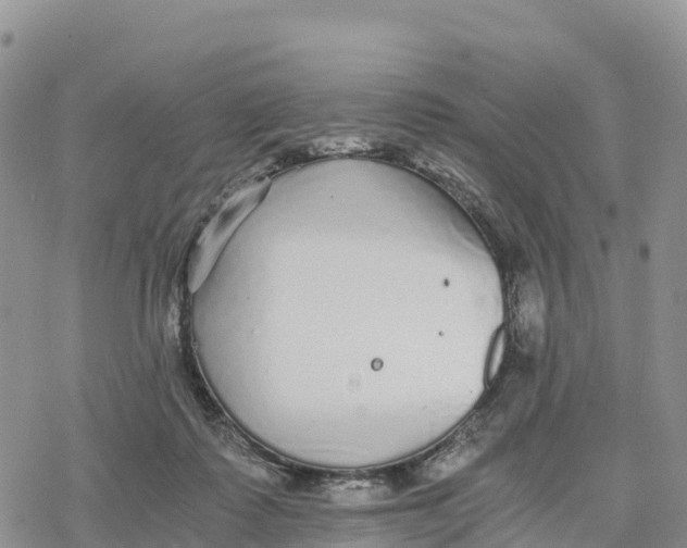 X0000078280315200611251425