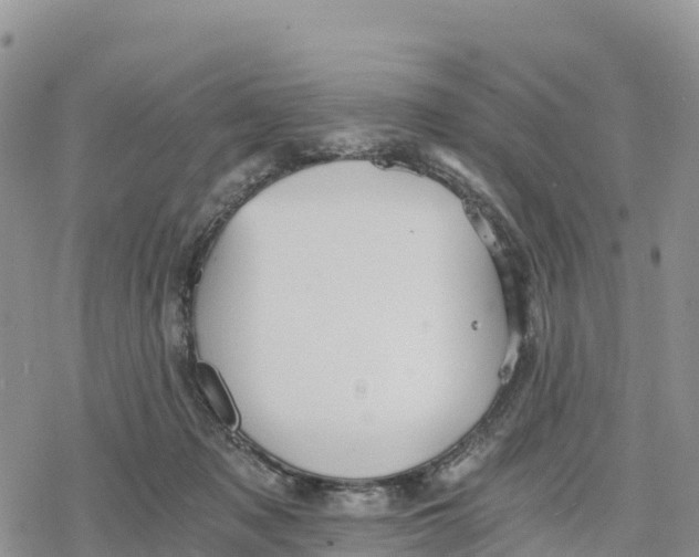 X0000078280317200611251425