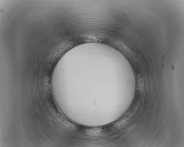 X0000078280318200611251425