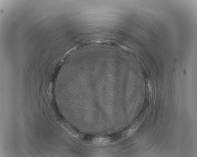 X0000078280319200611251425