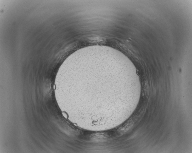 X0000078280320200611251425