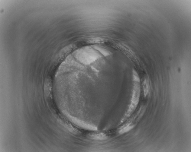 X0000078280322200611251424