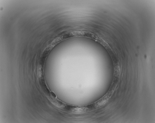 X0000078280323200611251424