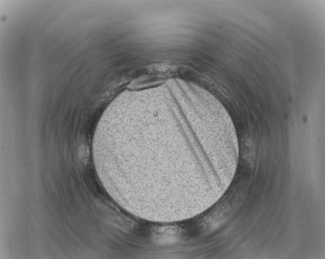 X0000078280324200611251424