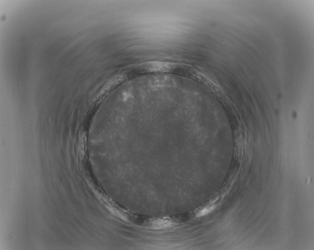 X0000078280325200611251424