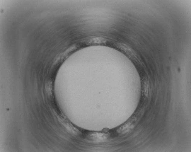 X0000078280326200611251424