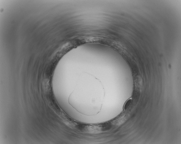 X0000078280327200611251424