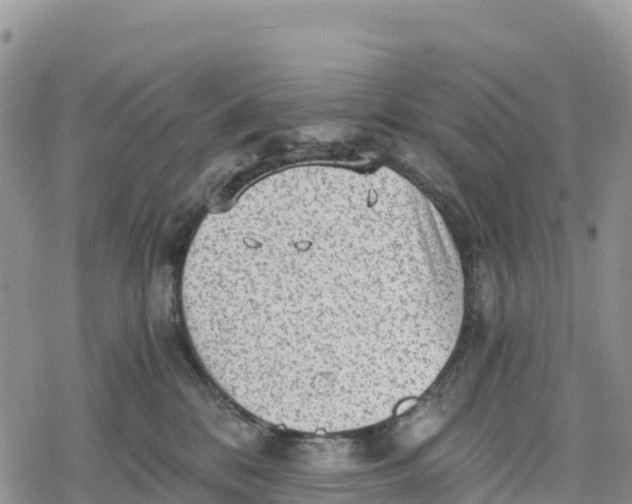 X0000078280328200611251424