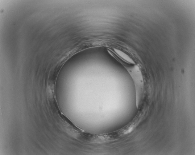 X0000078280329200611251424