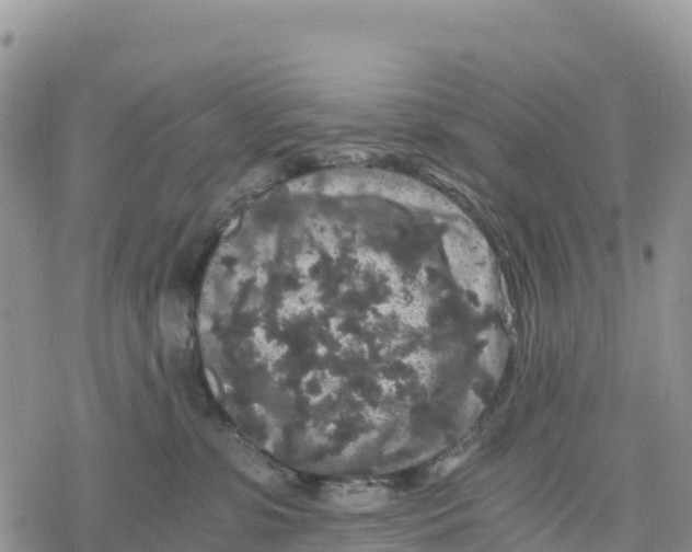 X0000078280331200611251424