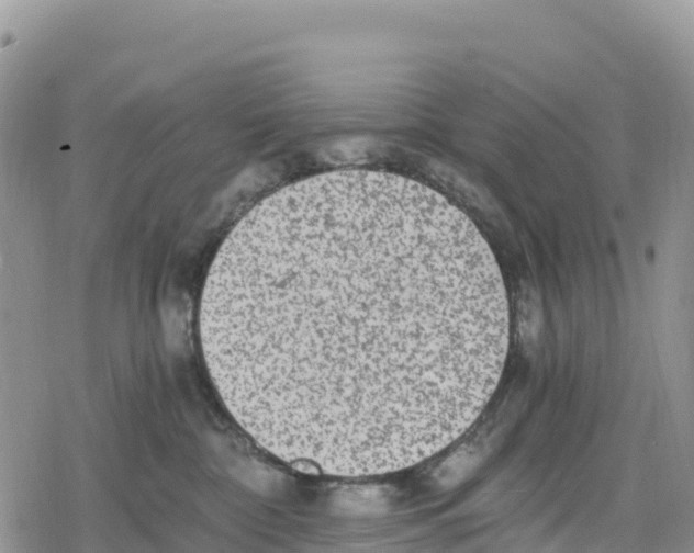 X0000078280332200611251424