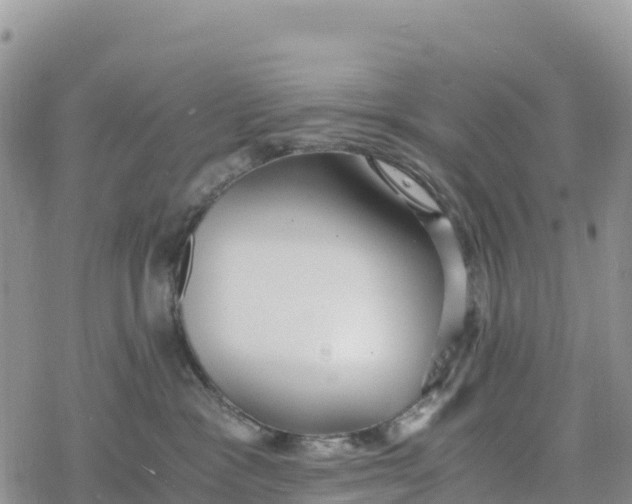 X0000078280333200611251424