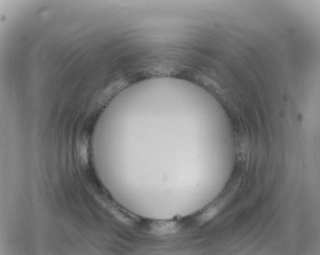 X0000078280334200611251424