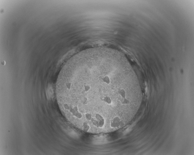 X0000078280335200611251424