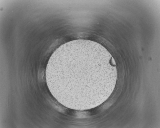 X0000078280336200611251424