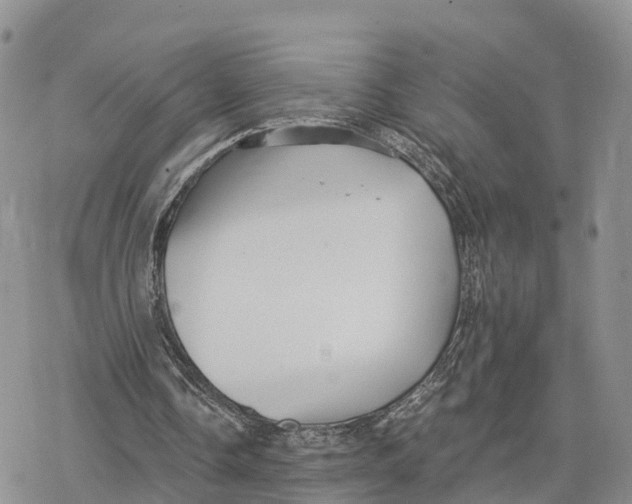 X0000078280338200611251423