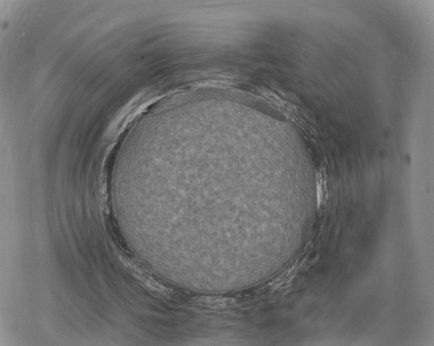 X0000078280339200611251424