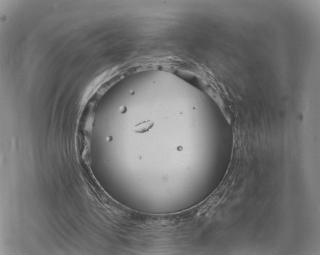 X0000078280340200611251424