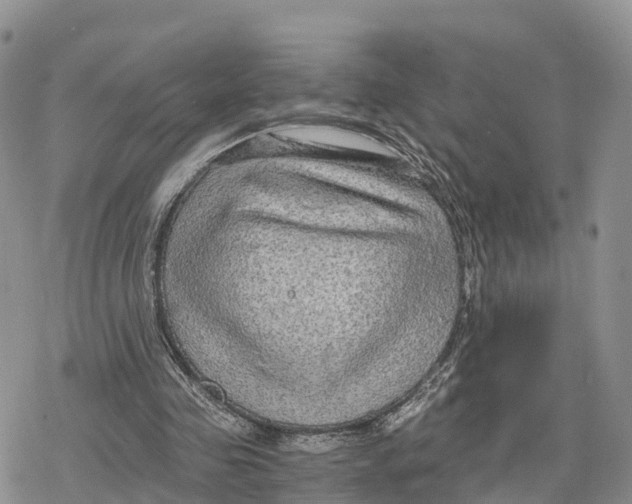 X0000078280341200611251424