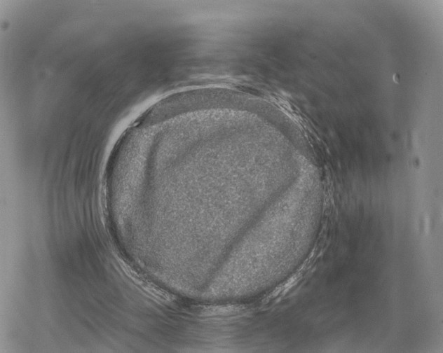 X0000078280342200611251424