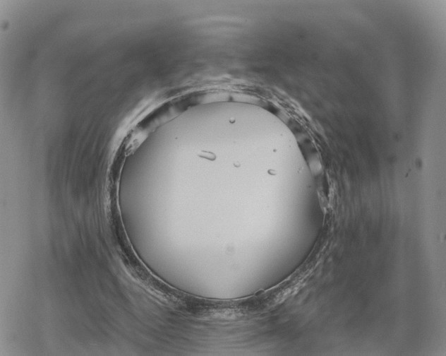 X0000078280344200611251424