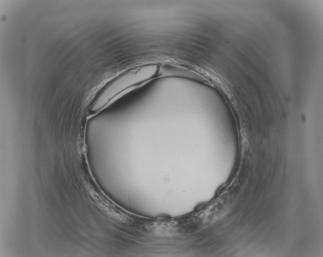 X0000078280345200611251424