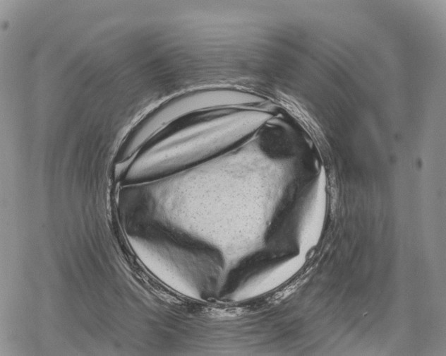 X0000078280346200611251424