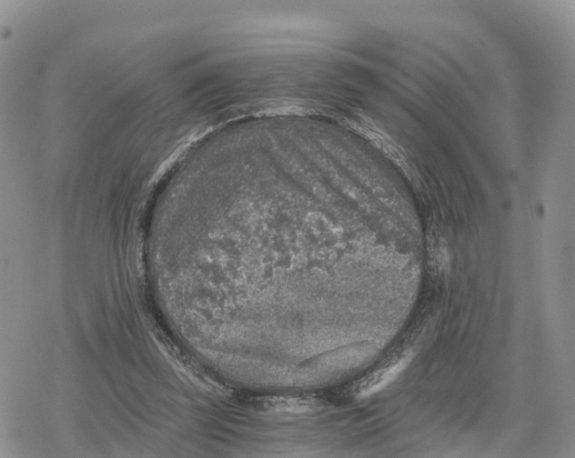 X0000078280347200611251424