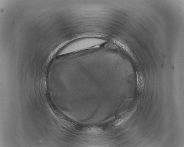 X0000078280348200611251424