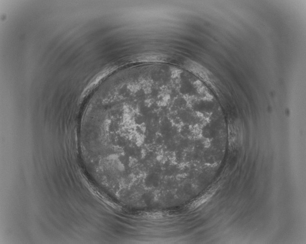 X0000078280349200611251424