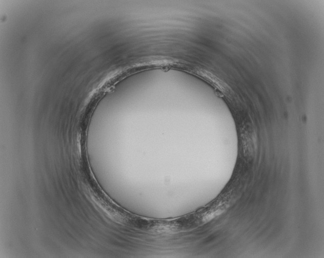 X0000078280350200611251424