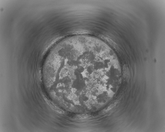 X0000078280351200611251424